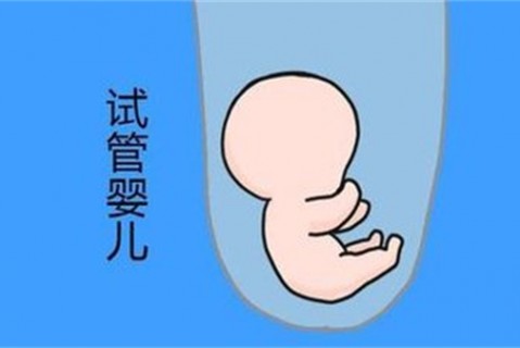 培养乌鲁木齐捐卵宝宝艺术细胞的小技巧