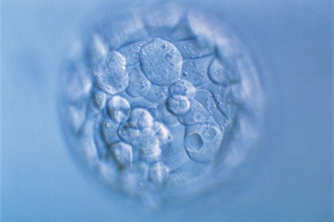 http://wulumuqi.huochezhan.net/post/200.html|乌鲁木齐新闻中心